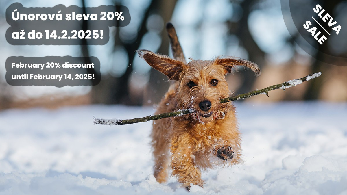 Únorová sleva 20% až do 14.2.2025!